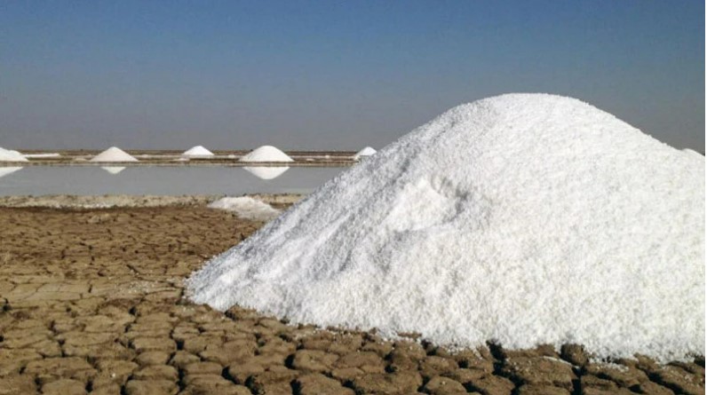 salt industry in bangladesh